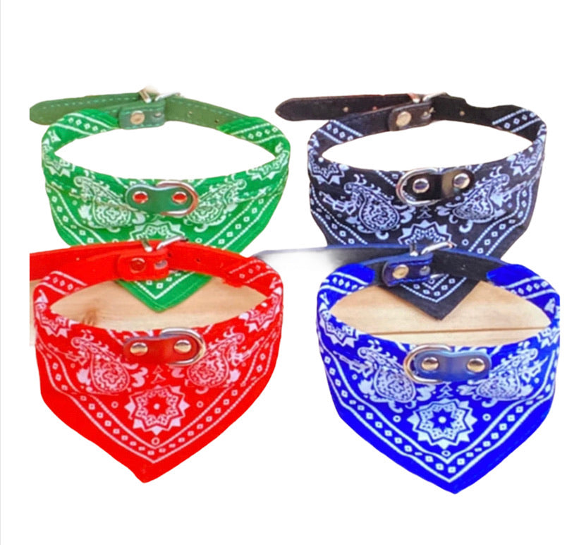 Bandana Collar